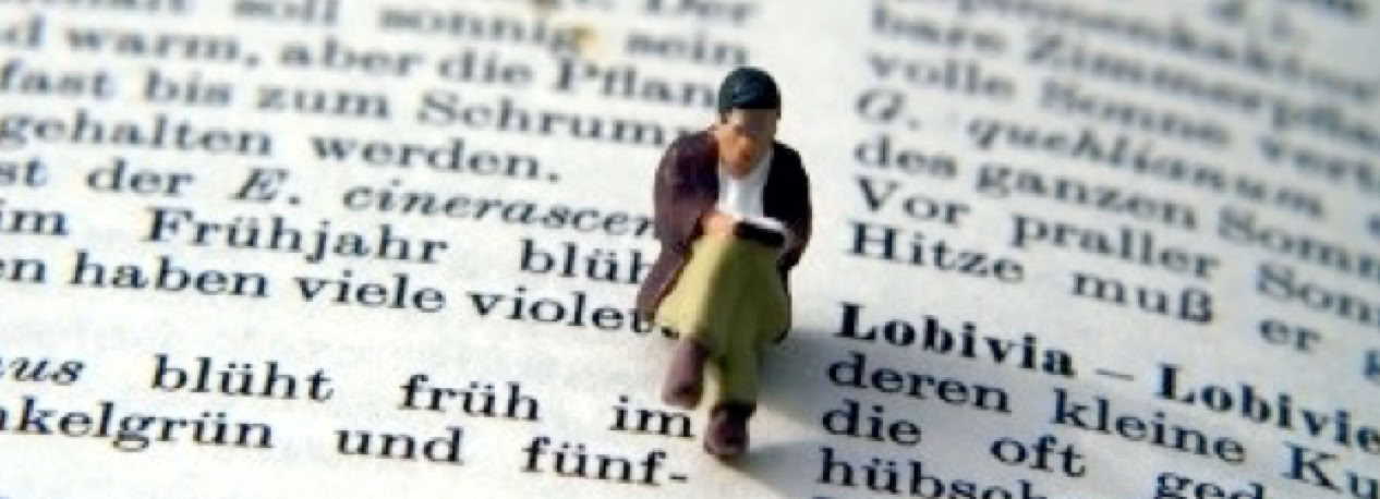 leser S. Hofschläger: Der Leser